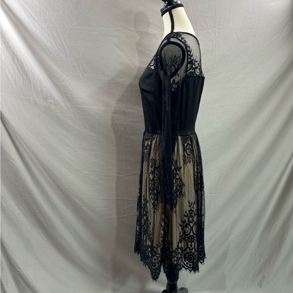 Lace Mesh Sheer Overlay Knee-length Dress Black - Picture 7 of 8